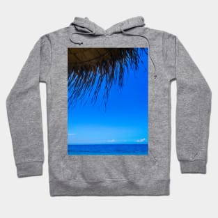 Summer Shade Hoodie